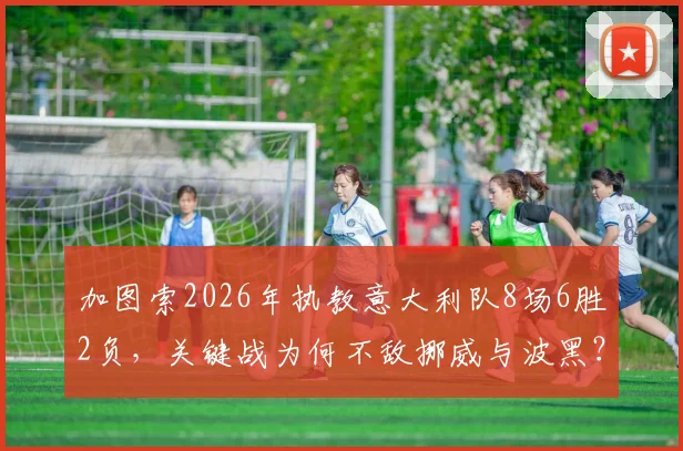 加图索2026年执教意大利队8场6胜2负,关键战为何不敌挪威与波黑?战绩深度分析