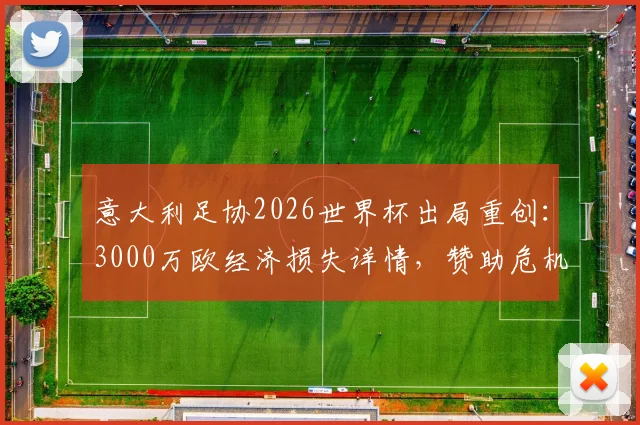 意大利足协2026世界杯出局重创：3000万欧经济损失详情，赞助危机与未来财政影响深度分析